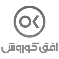 همکار پروژه شفافیت فروشگاهی